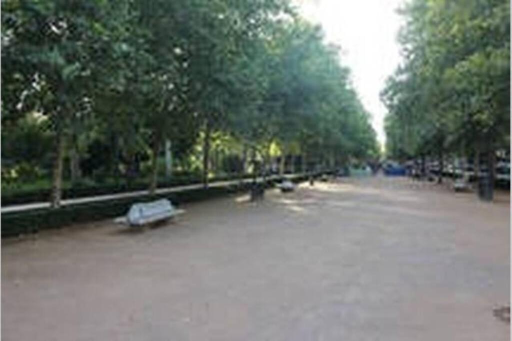 شقة Bonito Apartamento Junto A Paseo De La Bomba غرناطة المظهر الخارجي الصورة